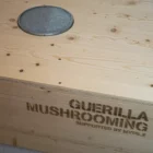 Guerilla Mushrooming FlowBox